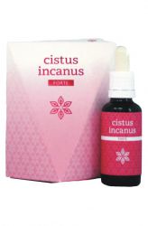 Energy Cistus incanus